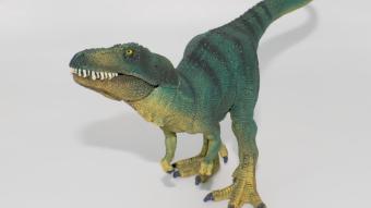 Image de couverture pour Jeune Tyrannosaurus rex