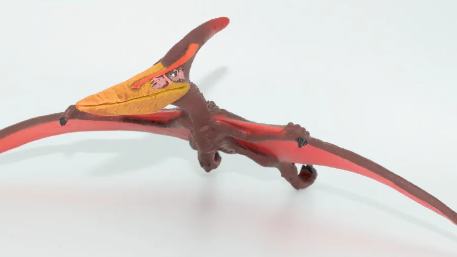 Image de couverture pour Pteranodon