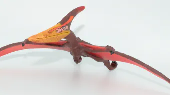 Image de couverture pour Pteranodon