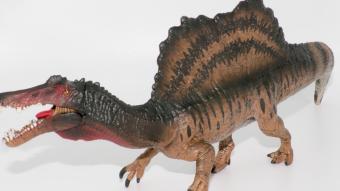Image de couverture pour Spinosaurus