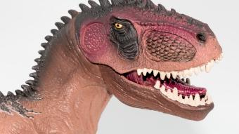 Image de couverture pour Giganotosaurus