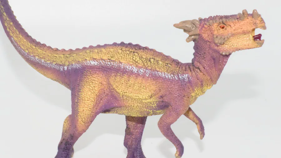 Image de couverture pour Dracorex