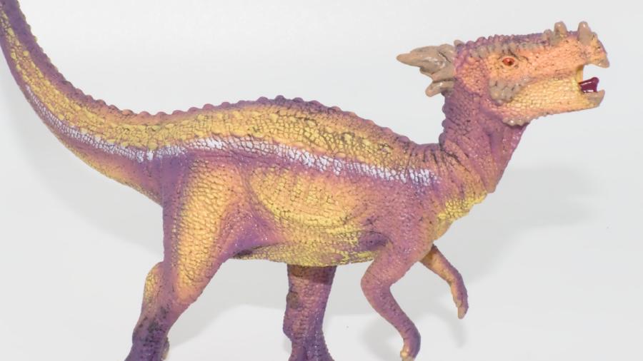 Image de couverture pour Dracorex