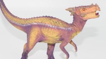 Image de couverture pour Dracorex