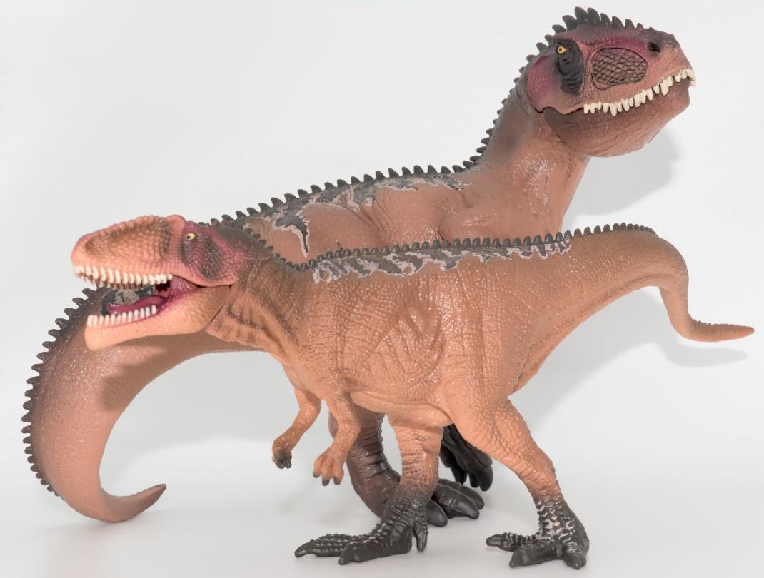 © Richard Dern BWG2SW