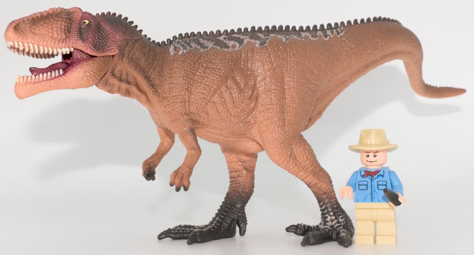 © Richard Dern NxAhYs