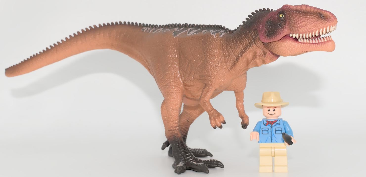 Jeune Giganotosaurus