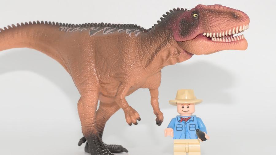 Image de couverture pour Jeune Giganotosaurus