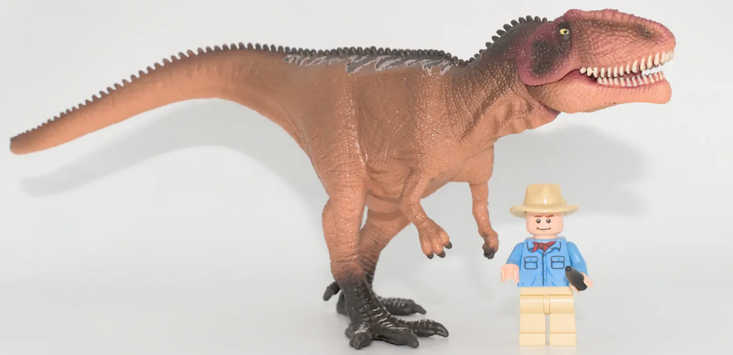 Jeune Giganotosaurus