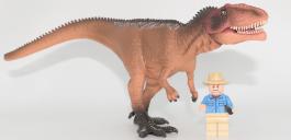 Jeune Giganotosaurus