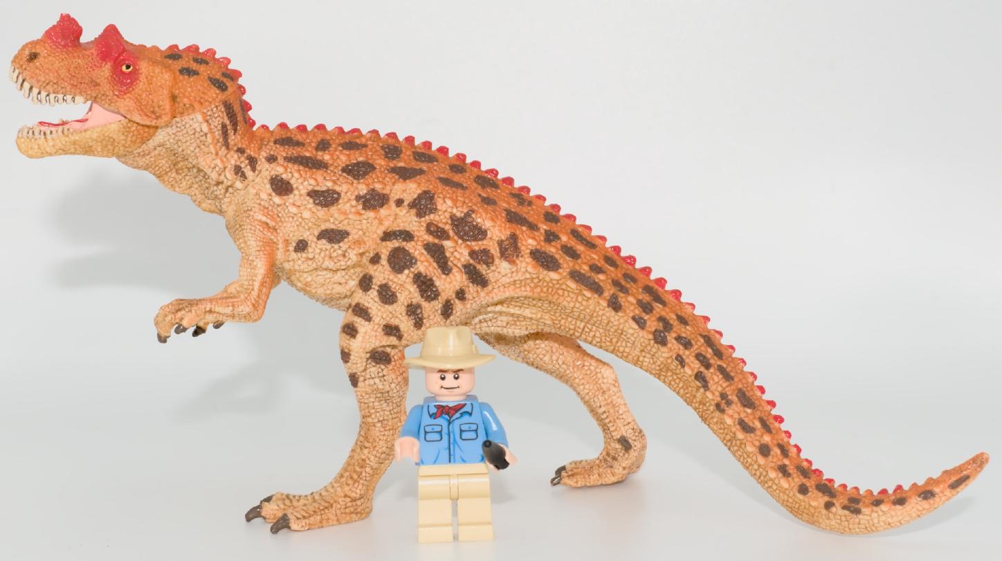 © Richard Dern INydFS