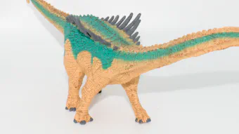 Image de couverture pour Agustinia