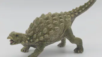 Image de couverture pour Ankylosaurus