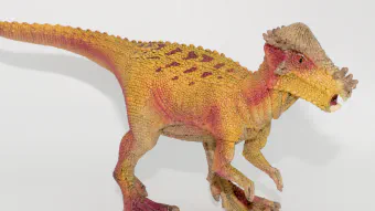 Image de couverture pour Pachycephalosaurus