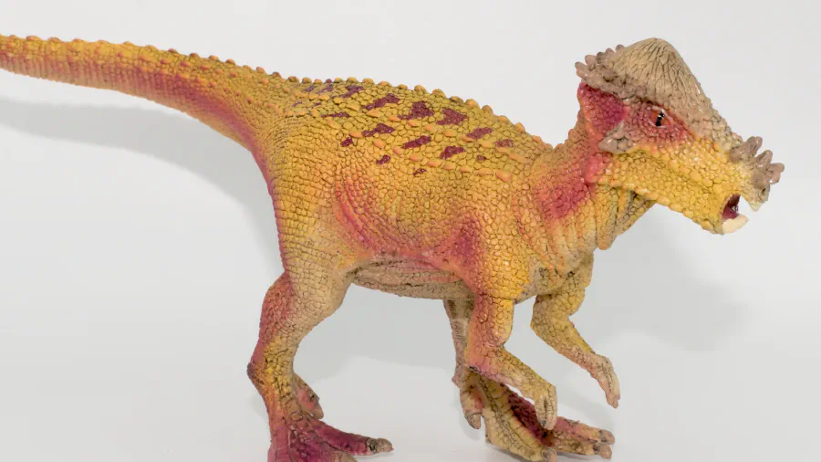 Image de couverture pour Pachycephalosaurus