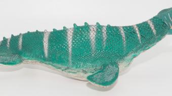 Image de couverture pour Mosasaurus