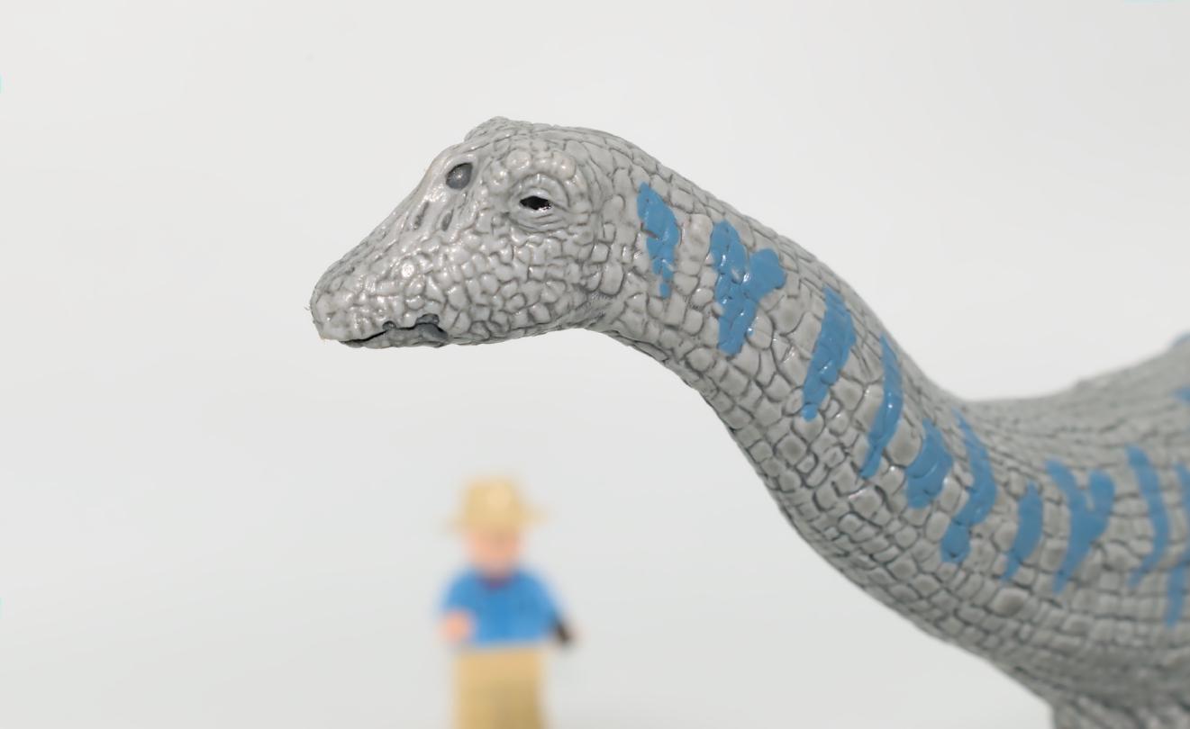 Un *Apatosaurus* dépressif... © Richard Dern HIbIr3