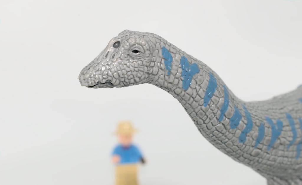 Un *Apatosaurus* dépressif... © Richard Dern HIbIr3