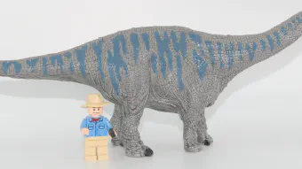 Image de couverture pour Brontosaurus