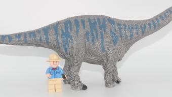 Image de couverture pour Brontosaurus