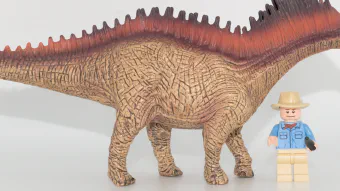 Image de couverture pour Amargasaurus