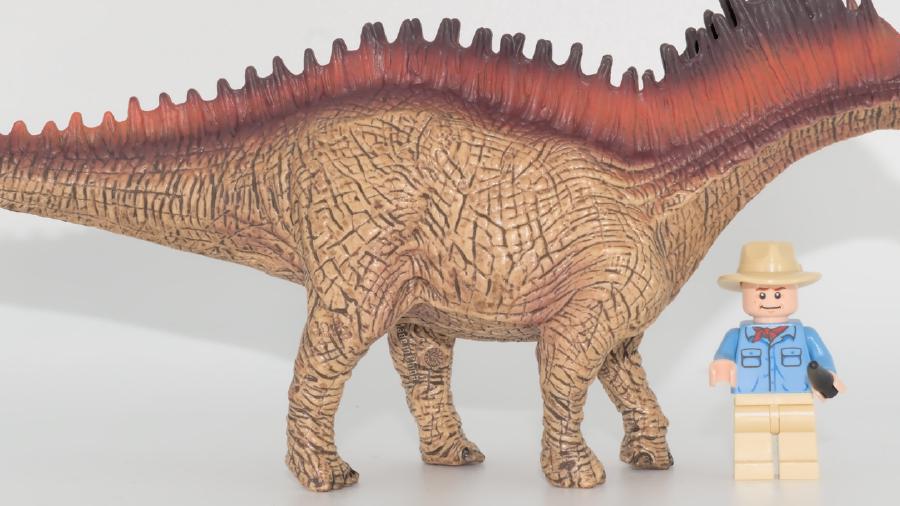 Image de couverture pour Amargasaurus