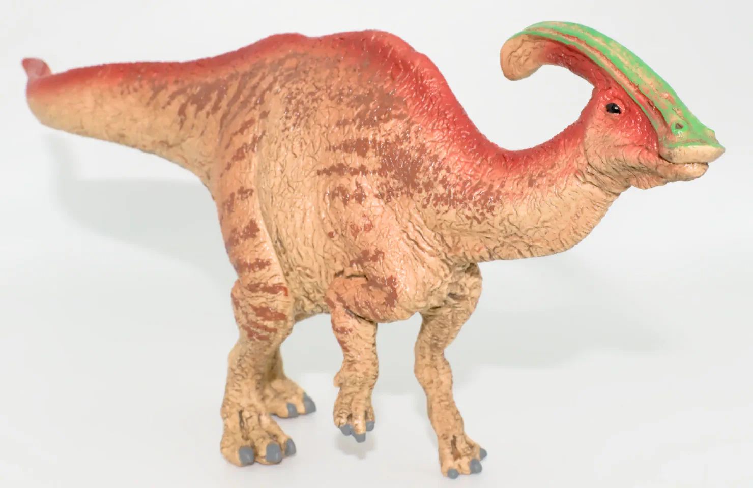 Parasaurolophus