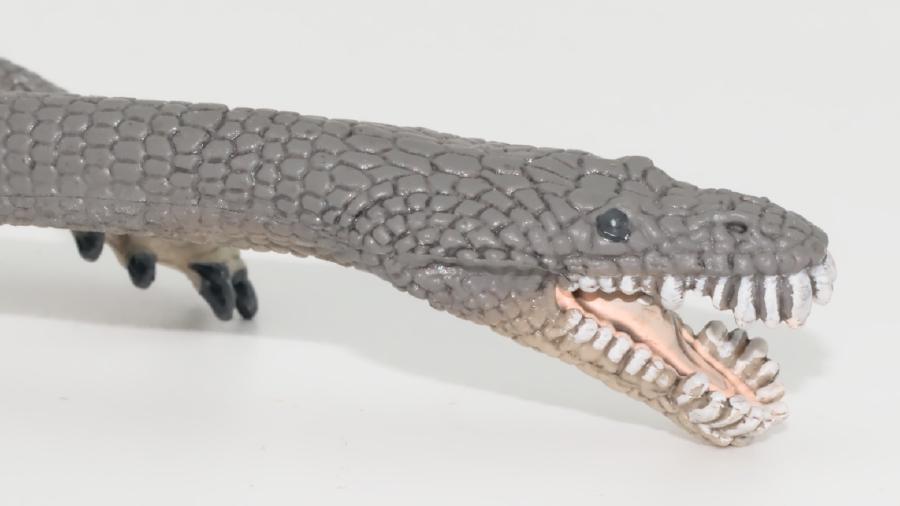 Image de couverture pour Nothosaurus