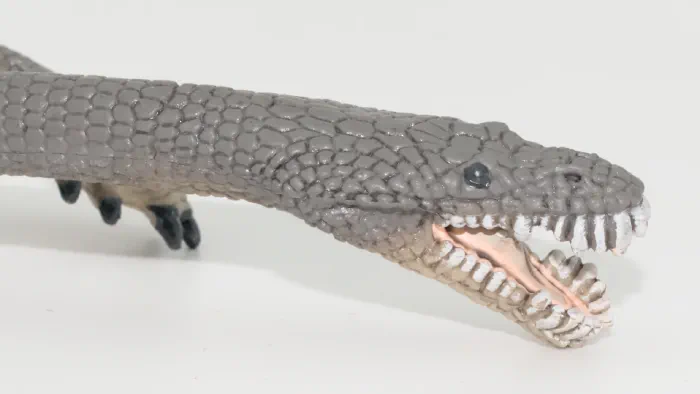 Image de couverture pour Nothosaurus