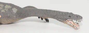 Nothosaurus
