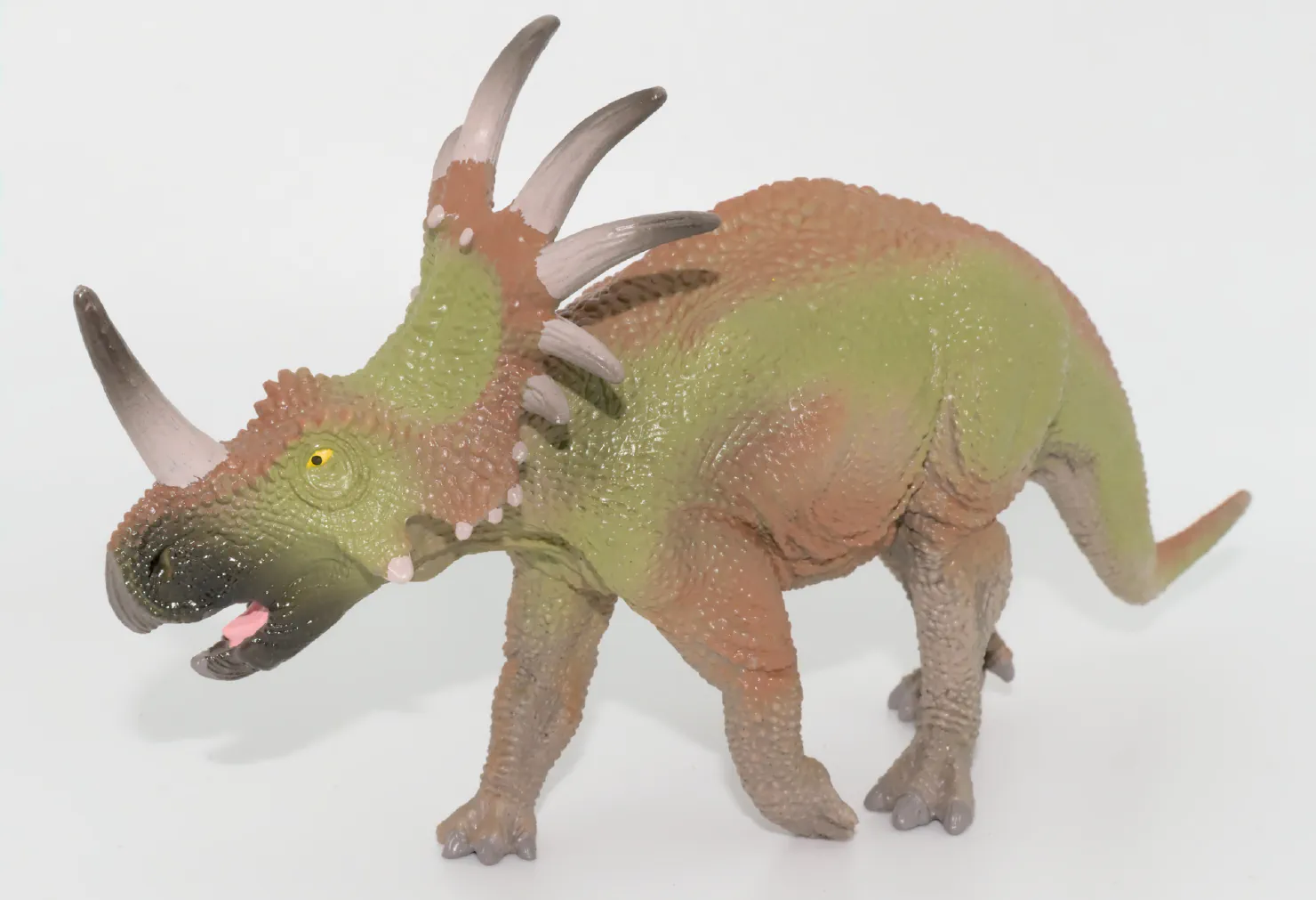 Styracosaurus