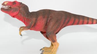 Image de couverture pour Tyrannosaurus rex - Rouge