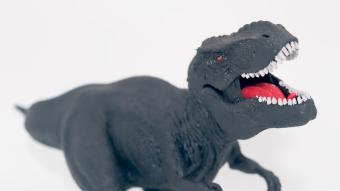 Image de couverture pour Tyrannosaurus rex - Noir