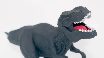 Image de couverture pour Tyrannosaurus rex - Noir