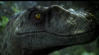 Image de couverture pour Jurassic Park III