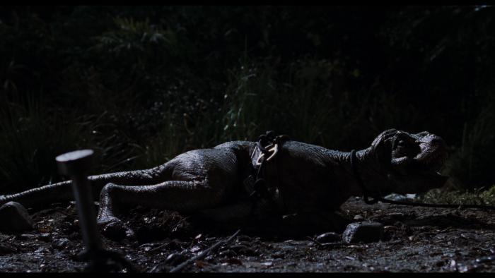 Image de couverture pour The Lost World: Jurassic Park