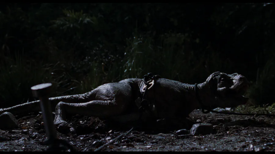 Image de couverture pour The Lost World: Jurassic Park