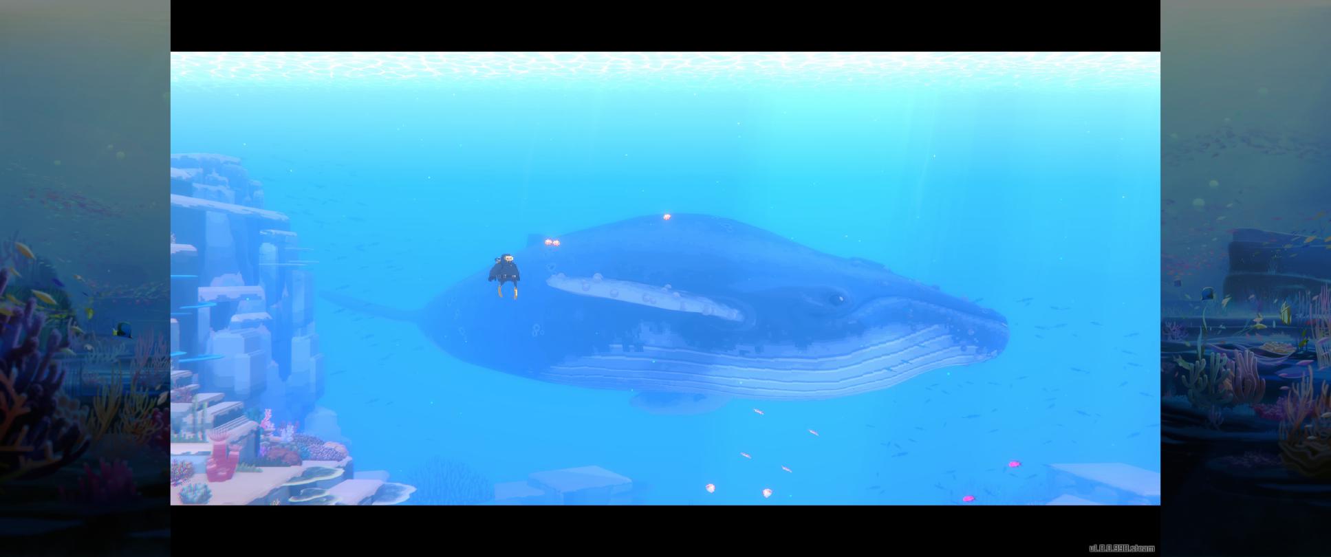 On fera des rencontres exceptionnelles sous l'eau 5ZQOwt