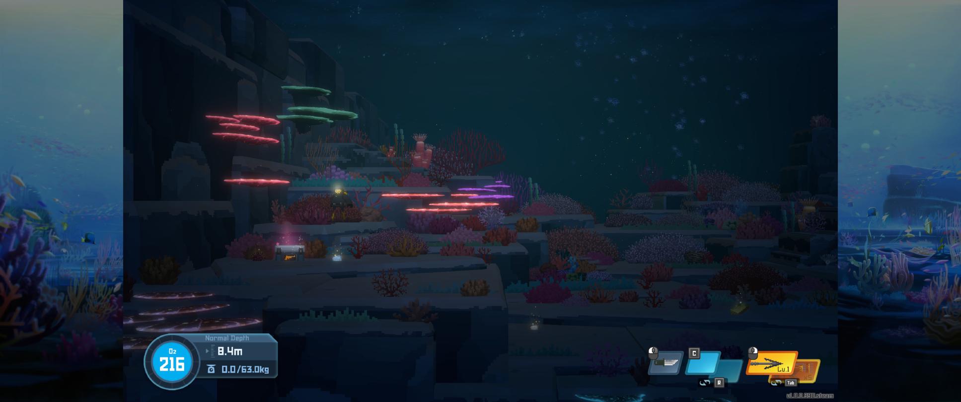 Les plongées de nuit s'avèrent particulièrement belles ngSfMs