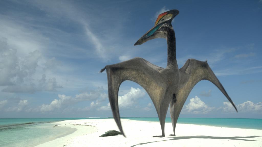 *Hatzegopteryx* paradant sur la plage BkK2hV