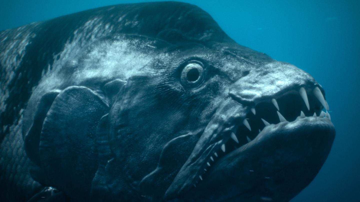 De nombreux environnements sont explorés, dont les océans. Ici, *Xiphactinus*, poisson osseux colossal SbKfdZ