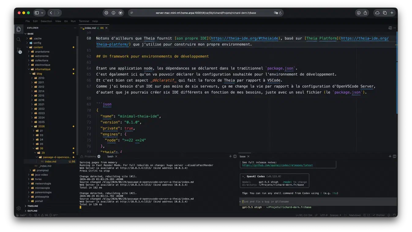 Vignette de Passage d'OpenVSCode Server à Theia