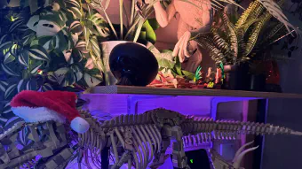 Image de couverture pour Étude de ma collection LEGO Jurassic World