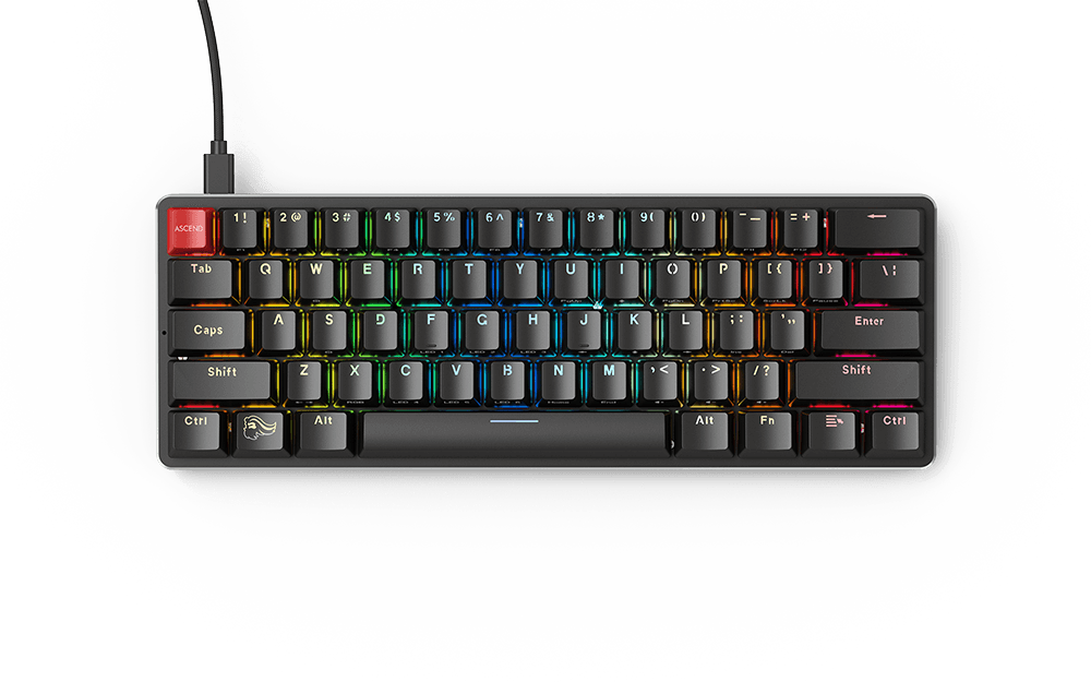 Pré-sélection wOWTnY