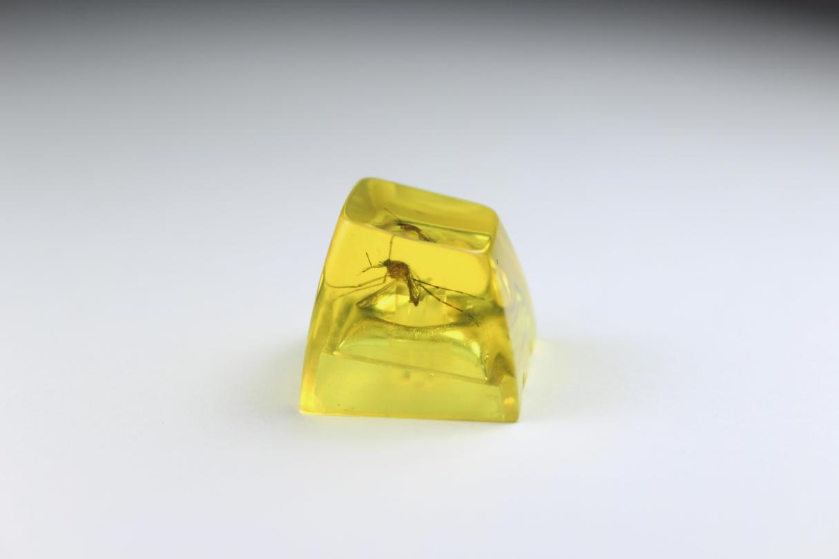 Un clavier 100% custom ? oG1Ceq