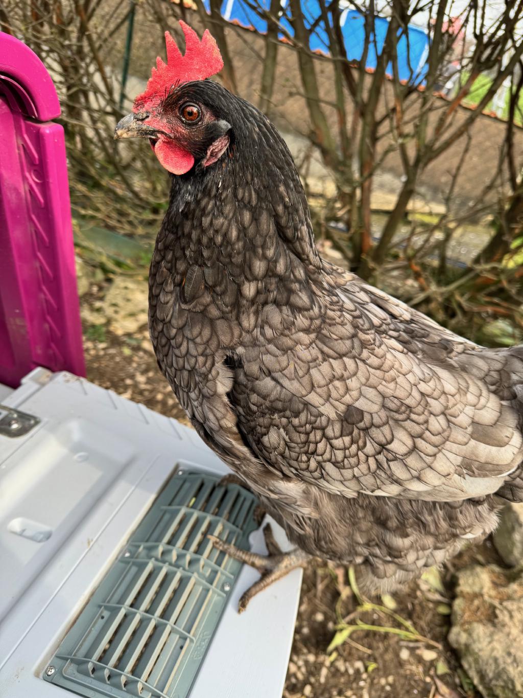 Inspection des travaux finis cfKfnW