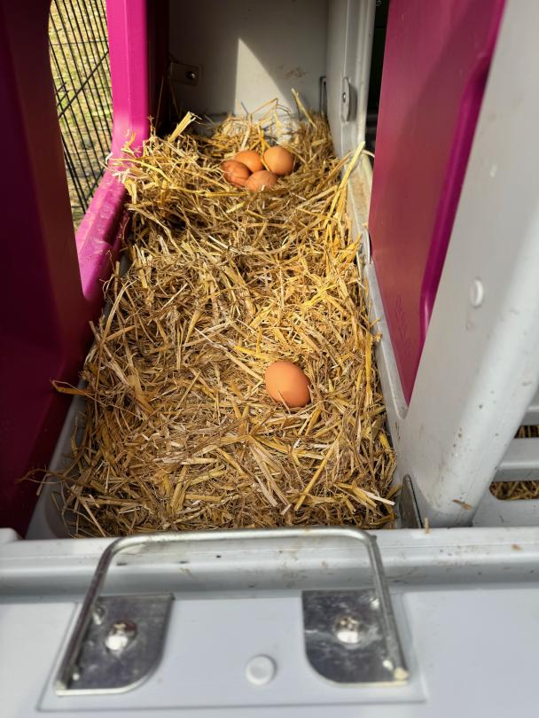 La récolte du jour ! wZ8Cjl