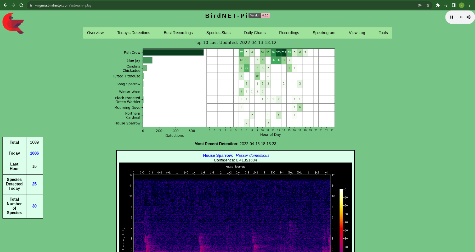Capture d'écran de l'application BirdNet-Pi birdnetpi
