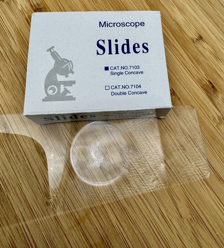 Lames concaves IMG_0820