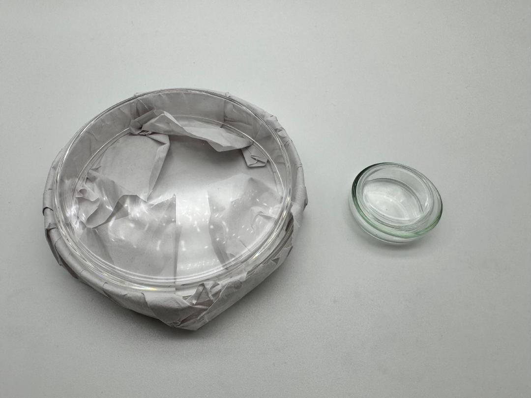 Boîtes de Petri IMG_0832